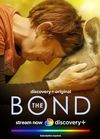 The Bond