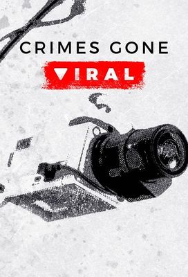 Crimes Gone Viral poster