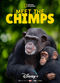 Film Meet the Chimps