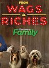 From Wags to Riches with Bill Berloni