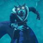 Wolf King/Regele lup
