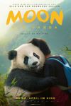 Un panda pe nume Moon