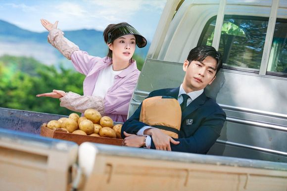 The Potato Lab