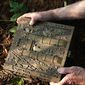 Gold & Greed: The Hunt for Fenn's Treasure/Aur și avariție: Pe urmele comorii lui Fenn