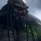 Predator: Killer of Killers/Predator: Killer of Killers