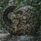 Pangolin: Kulu's Journey/Pangolin: Calea lui Kulu
