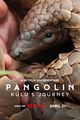 Film - Pangolin: Kulu's Journey
