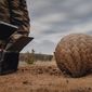 Pangolin: Kulu's Journey/Pangolin: Calea lui Kulu