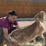 Imagine din galeria filmului Norocoșii: Scapă cine poate