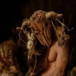 Imagine din galeria filmului Outlander: Blood of My Blood