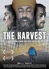 The Harvest