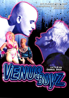 Venus Boyz poster