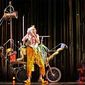 Foto 21 Cirque du Soleil: Varekai