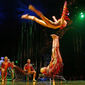 Foto 19 Cirque du Soleil: Varekai
