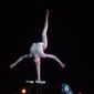 Foto 4 Cirque du Soleil: Varekai