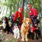 Die Rettungshunde: Hochzeitsreise in den Tod/Die Rettungshunde: Hochzeitsreise in den Tod