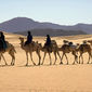 Foto 6 Ässhäk - Geschichten aus der Sahara
