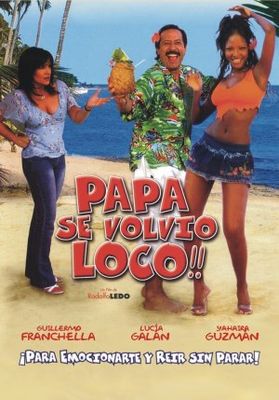 Papá se volvió loco poster