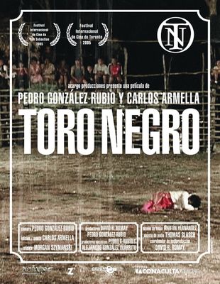 Toro negro poster