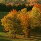 Foto 7 Vivaldi: Four Seasons in Nature's Harmony