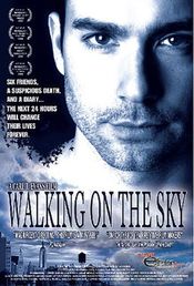 Poster Walking on the Sky