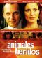 Film Animals ferits