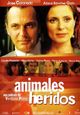 Film - Animals ferits