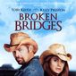 Poster 3 Broken Bridges