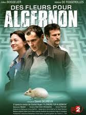 Poster Des fleurs pour Algernon