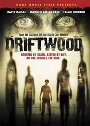 Poster Driftwood