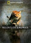 Relentless Enemies