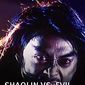 Poster 3 Shaolin vs. Evil Dead 2: Ultimate Power