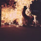 Raging Inferno/Infernul de foc