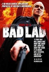 Poster Diary of a Bad Lad