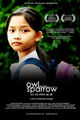 Film - Owl and the Sparrow