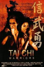 Poster Tai Chi Warriors