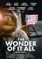 Film The Wonder of It All