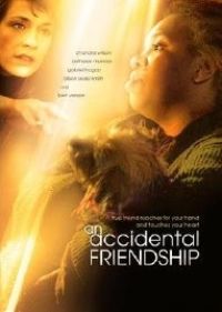 Accidental Friendship poster