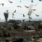 Birdemic: Shock and Terror/Birdemic: Shock and Terror