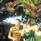 Birdemic: Shock and Terror/Birdemic: Shock and Terror