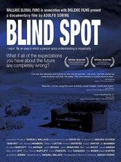 Poster Blindspot