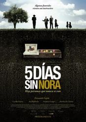 Poster Cinco días sin Nora