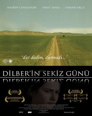 Dilber'in sekiz günü poster