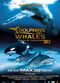 Film Dolphins and Whales 3D: Tribes of the Ocean