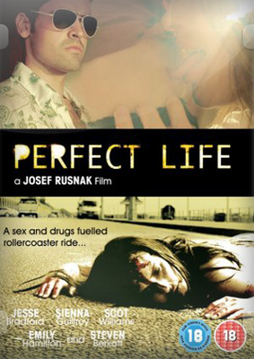 Perfect Life poster