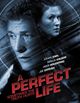 Film - A Perfect Life