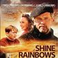 Poster 9 A Shine of Rainbows