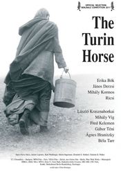 Poster A torinói ló