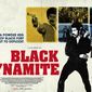 Poster 3 Black Dynamite