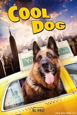 Cool Dog poster